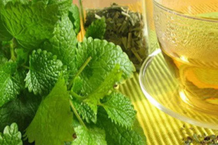 Melisa Çayının Cilde Faydaları