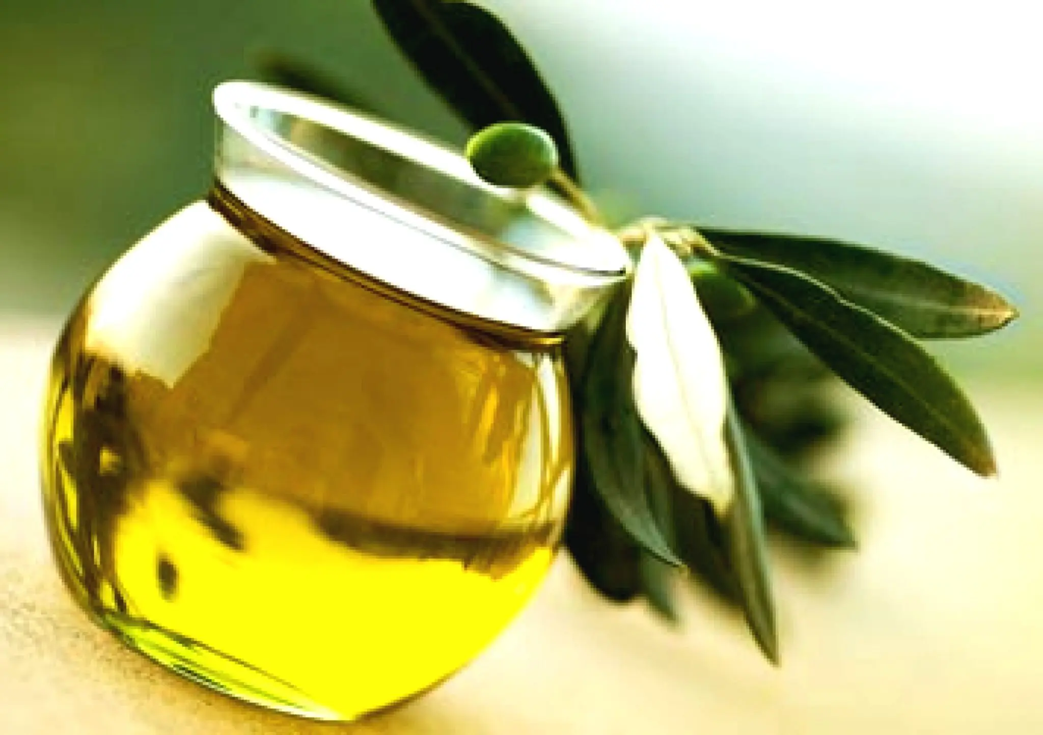 Yosun Yağının Faydaları