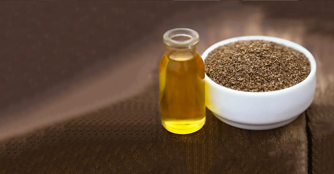 Ajwain Yağı Faydaları: Sağlık İçin Güçlü Bir Doğal Destek