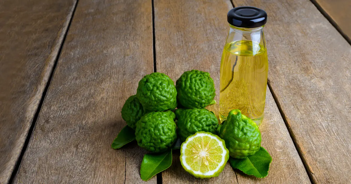 Bergamot Yağı Faydaları