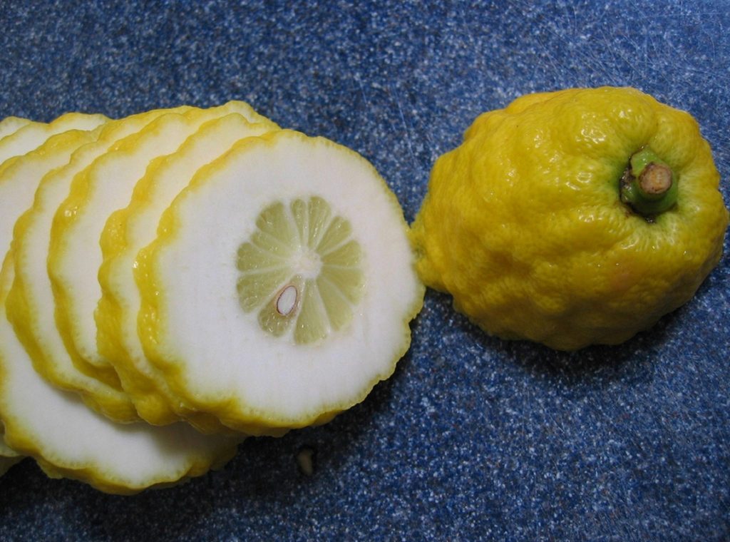 citron yağı faydaları
