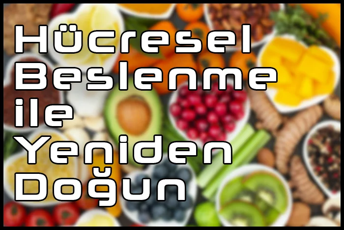 Hücresel Beslenme Diyet Listesi – 14 Kilo Vermek Mümkün