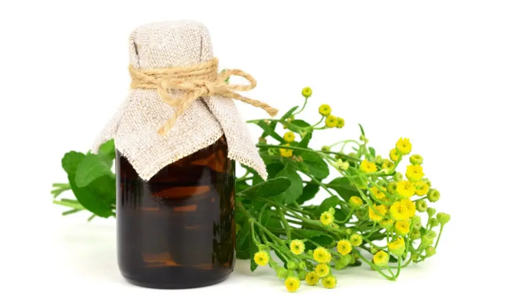 Marsıvan Yağı Faydaları: Doğal Şifa Kaynağı mı, Geleneksel Bir Miras mı?