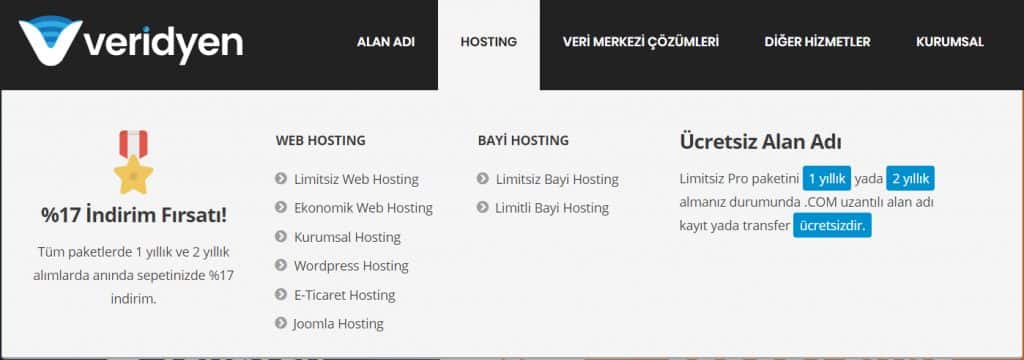 veridyen hosting